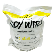 Body Wipes - The Filler - Coconut