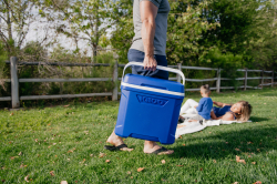 Coolers