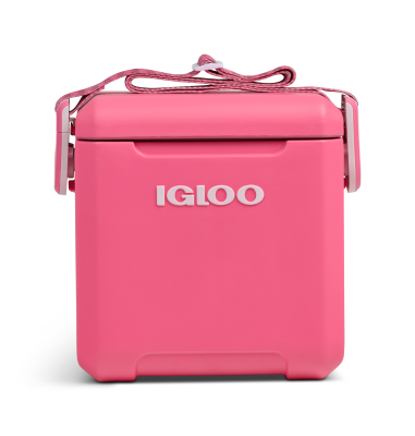 Tagalong II 11QT Thrift Pink
